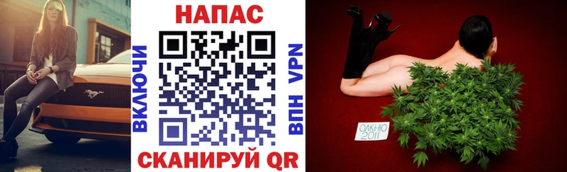 Наркотические вещества Кохма гидра как войти  АМФЕТАМИН  Каннабис  Мефедрон  Cocaine  Псилоцибиновые грибы 