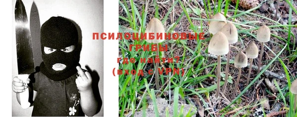 спайс Алексин