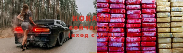 гашик Абаза