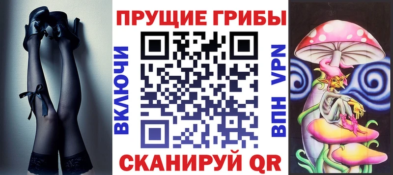 сколько стоит  Кохма  Галлюциногенные грибы GOLDEN TEACHER 